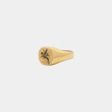Bellerophon Ring - Gold - Marcozo