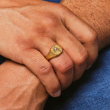 Bellerophon Ring - Gold - Marcozo