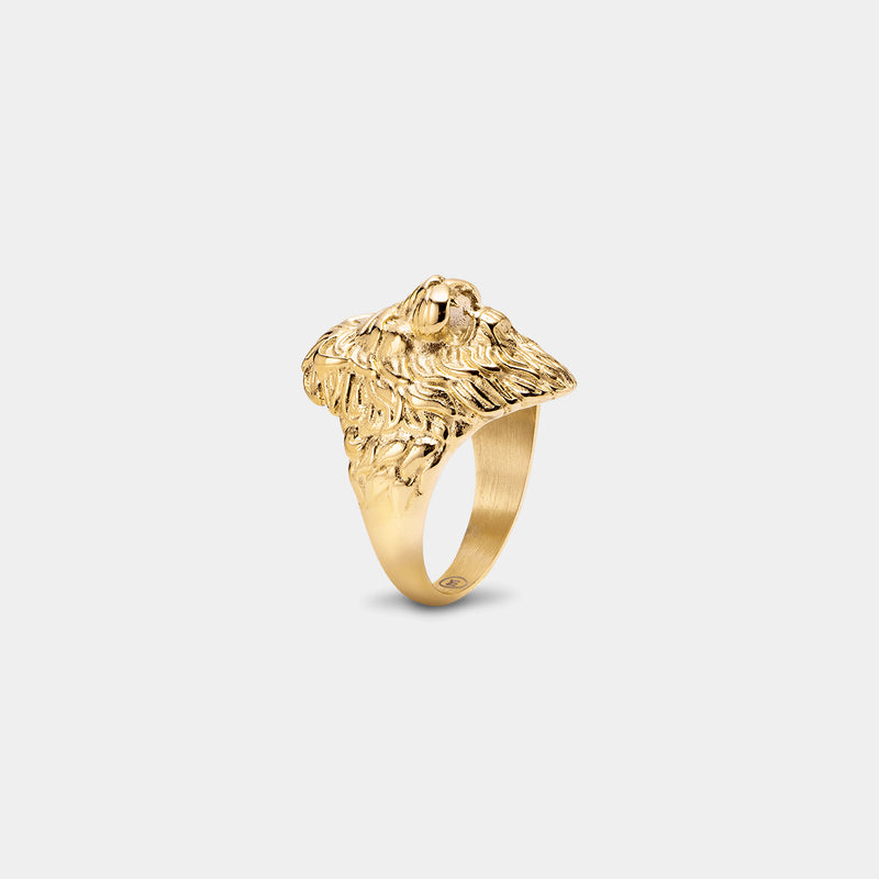 Lion Ring - Gold