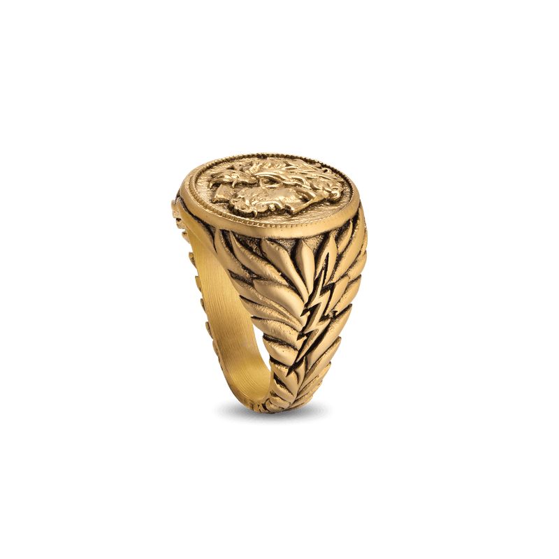 Zeus Ring - Ancient Gold