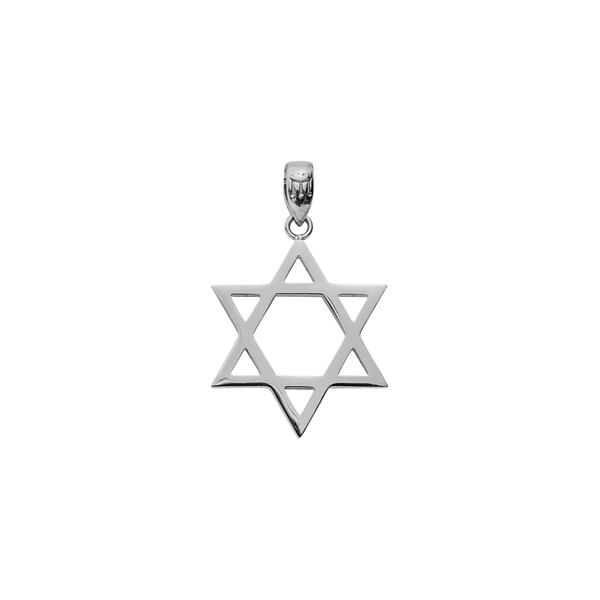Star of David Pendant - White Gold